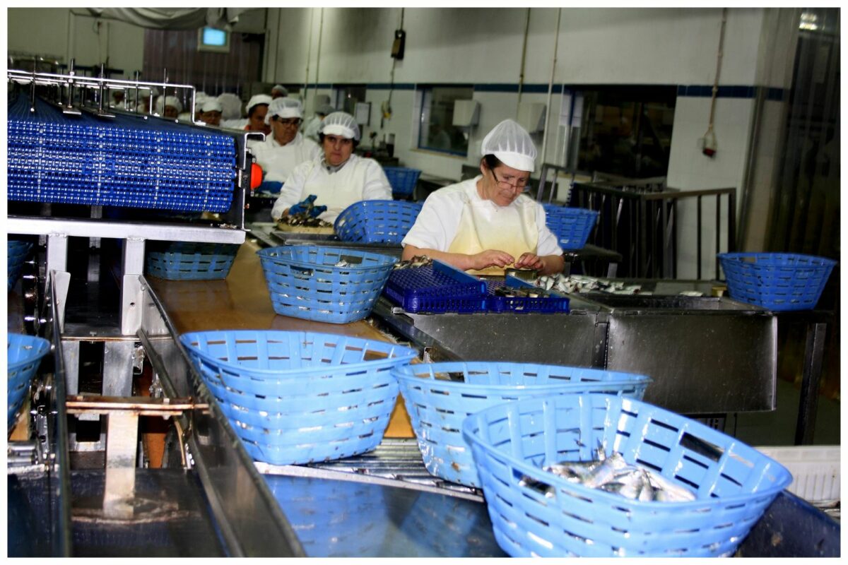 Le Comptoir du Portugal