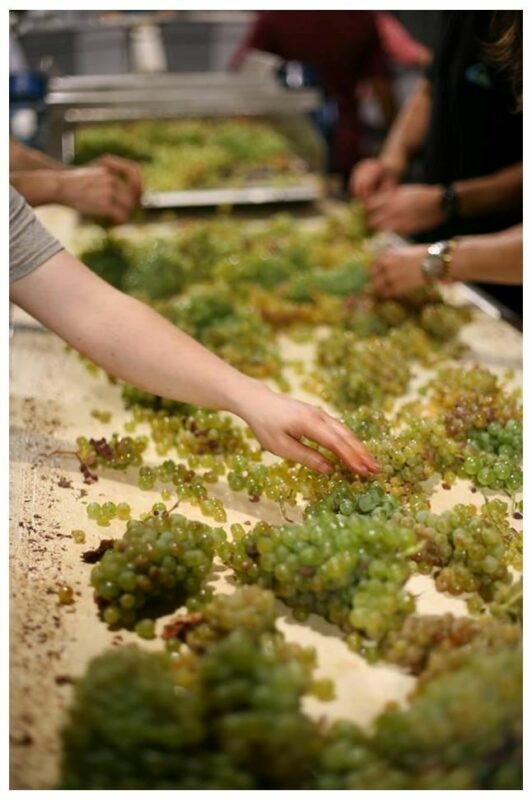 Le Comptoir du Portugal