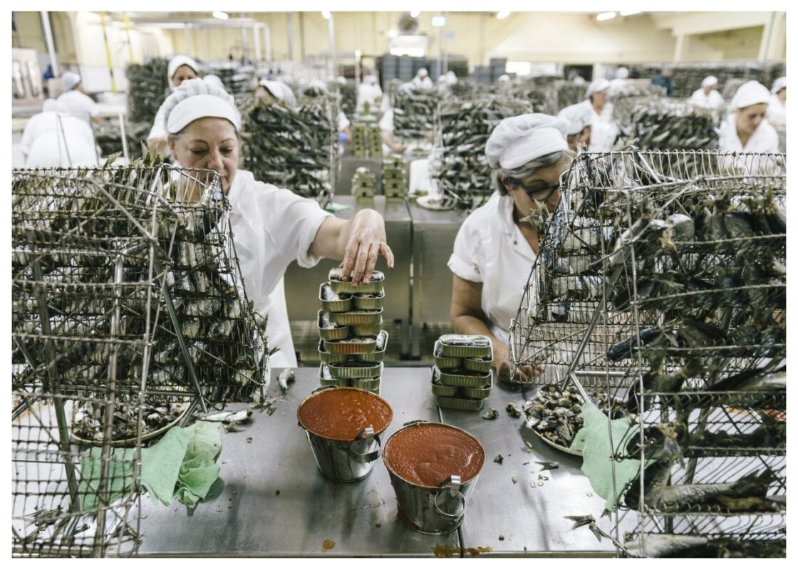 Le Comptoir du Portugal