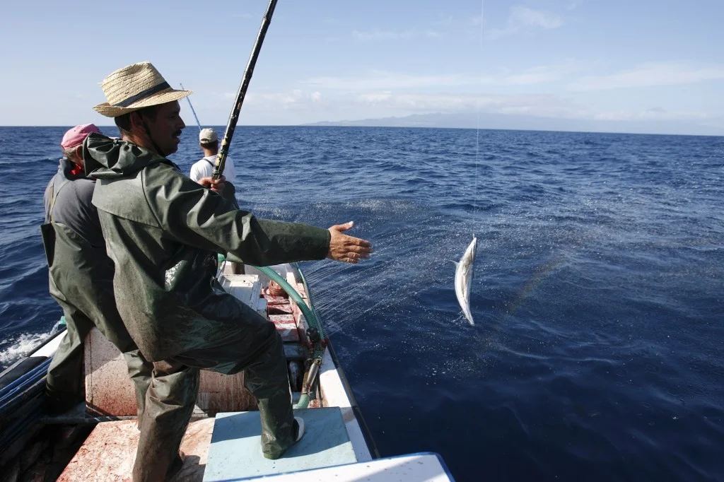 Le Comptoir du Portugal