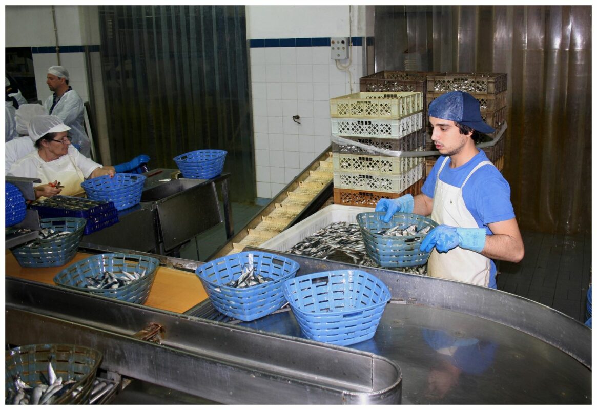 Le Comptoir du Portugal