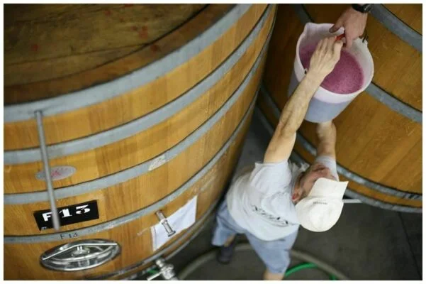Remontages chez Niepoort - Vins du Douro