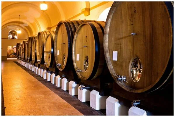 Pipas du chai Cartuxa - Pera Manca - Vins de l' Alentejo