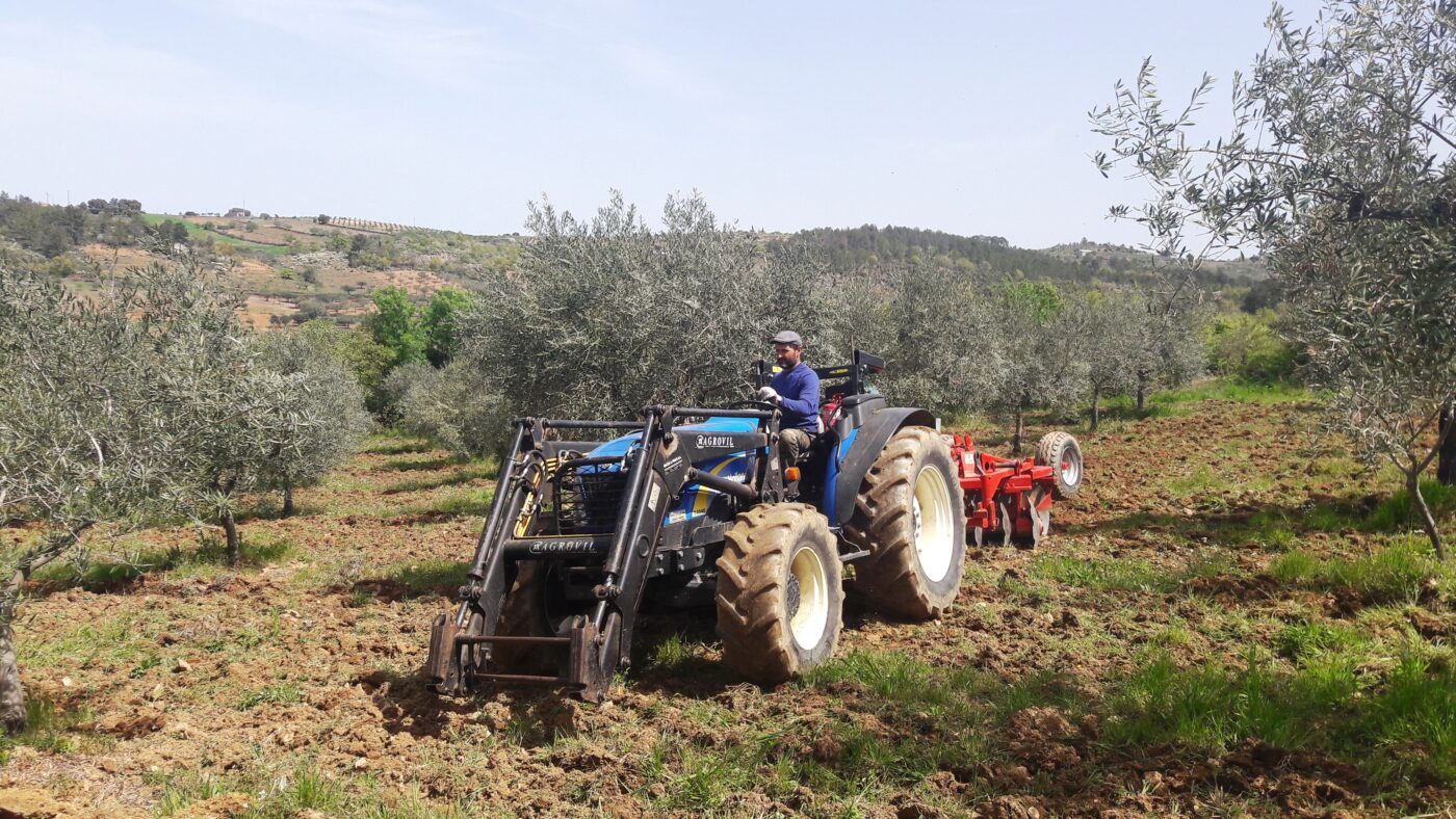 Le Comptoir du Portugal