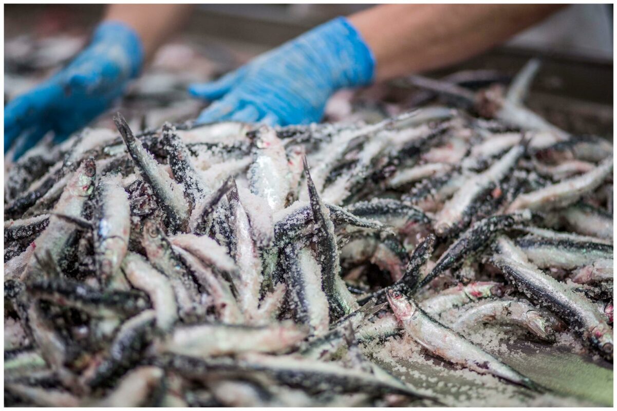 Le Comptoir du Portugal