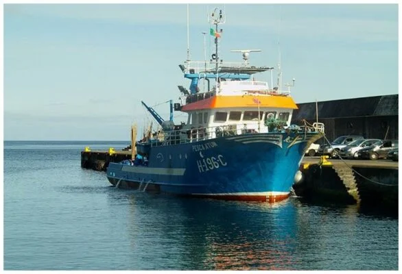 Thonnier au service de la conserverie - Santa Catarina - Conserves de thon bonito des Açores