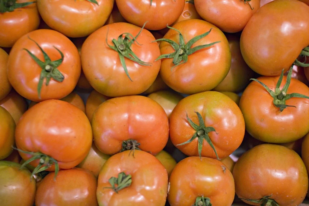 Le Comptoir du Portugal