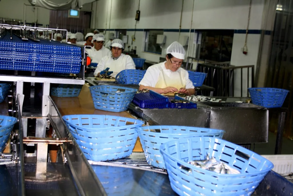 Le Comptoir du Portugal