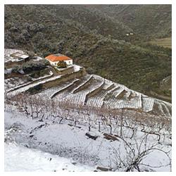 Quinta da Poeira sous la neige - Vins du Douro