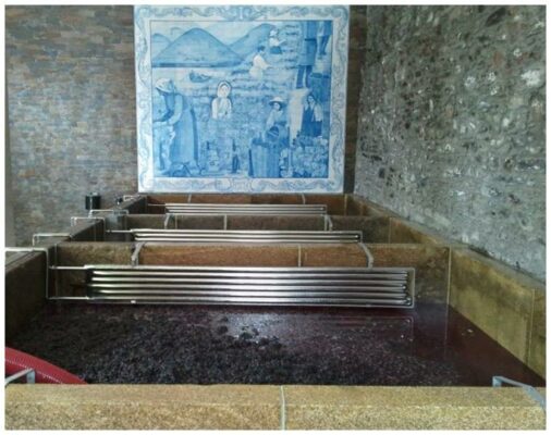 Lagares en granite de la Quinta do Judeu - Vins du Douro