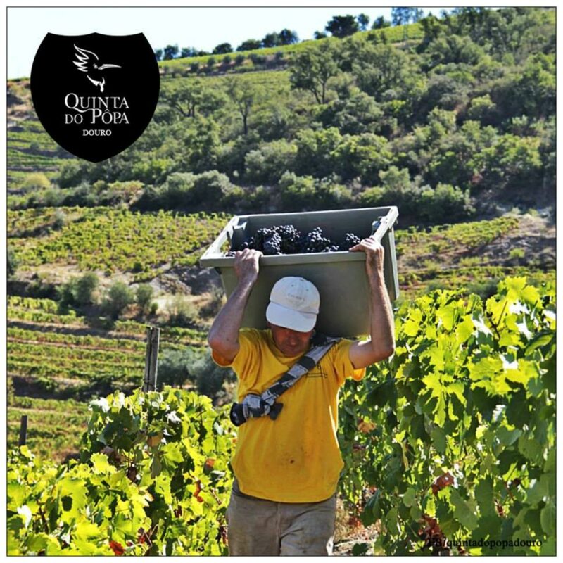 Le Comptoir du Portugal