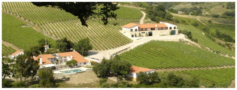 Vue aérienne -Quinta da Murta - Vins de Lisboa et Bucelas