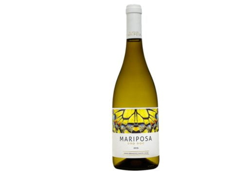 Dão Blanc - Quinta da Mariposa - Vins du Dão