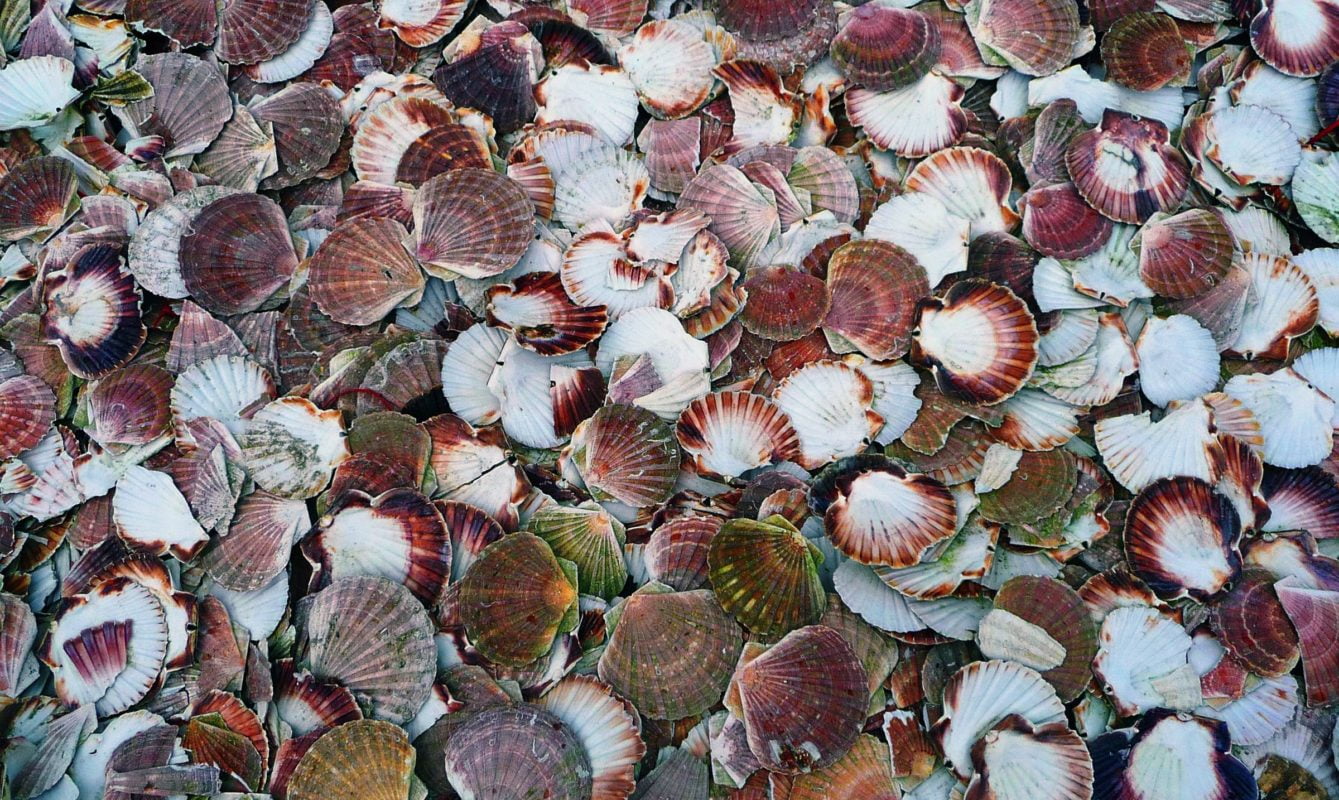 Le Comptoir du Portugal