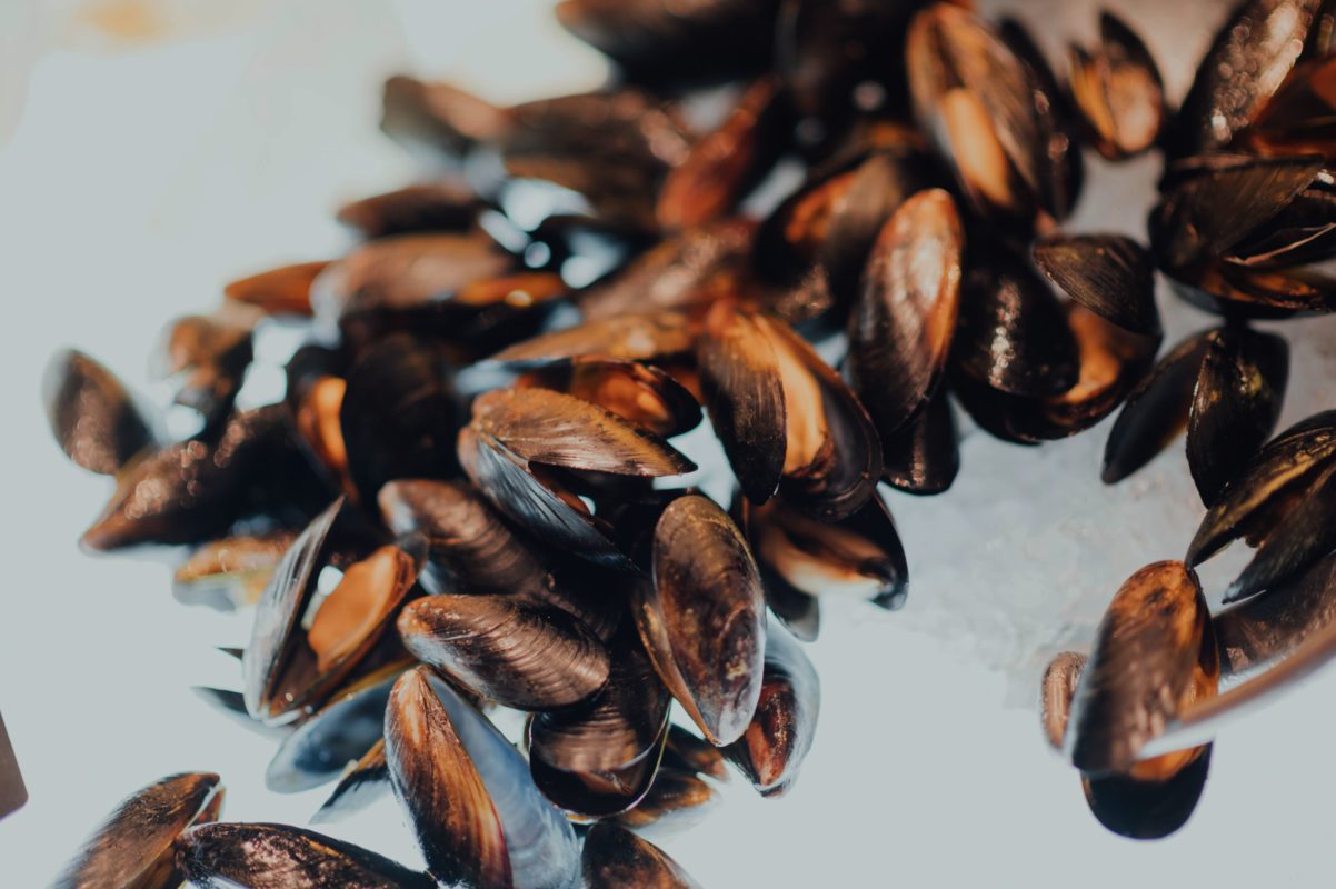 Le Comptoir du Portugal