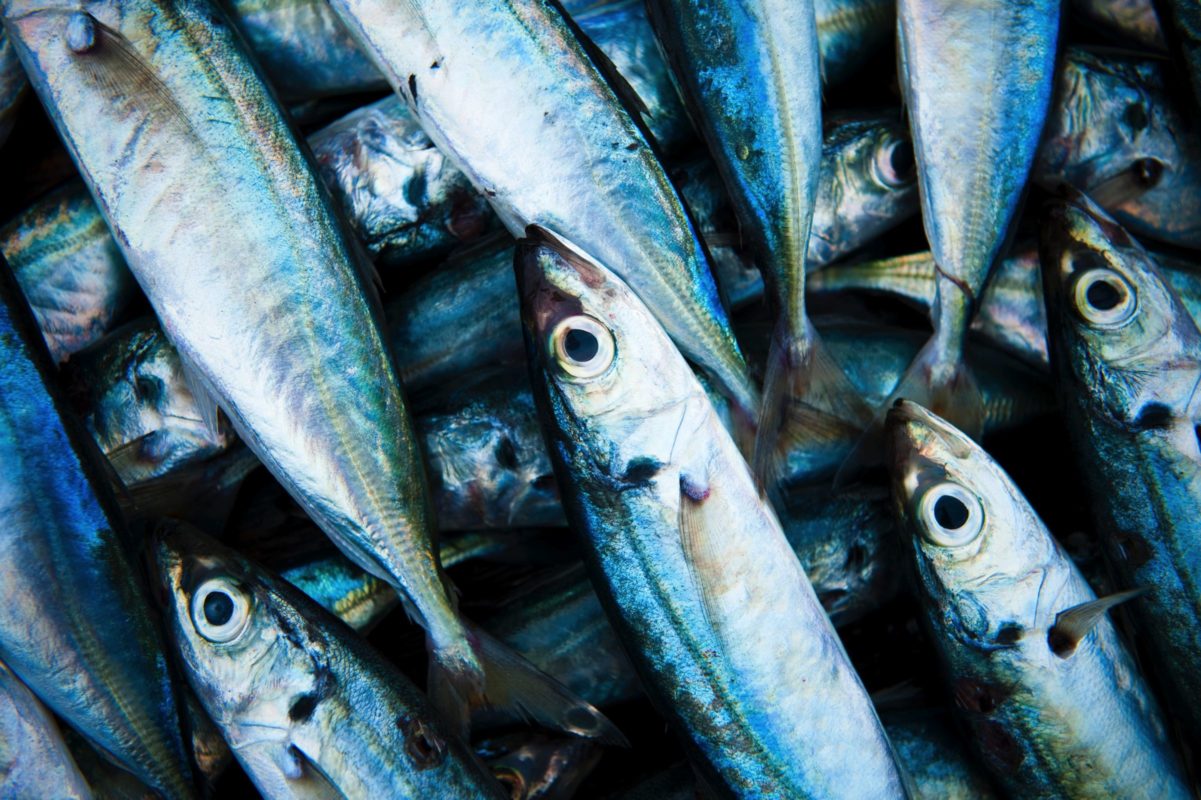 Le Comptoir du Portugal