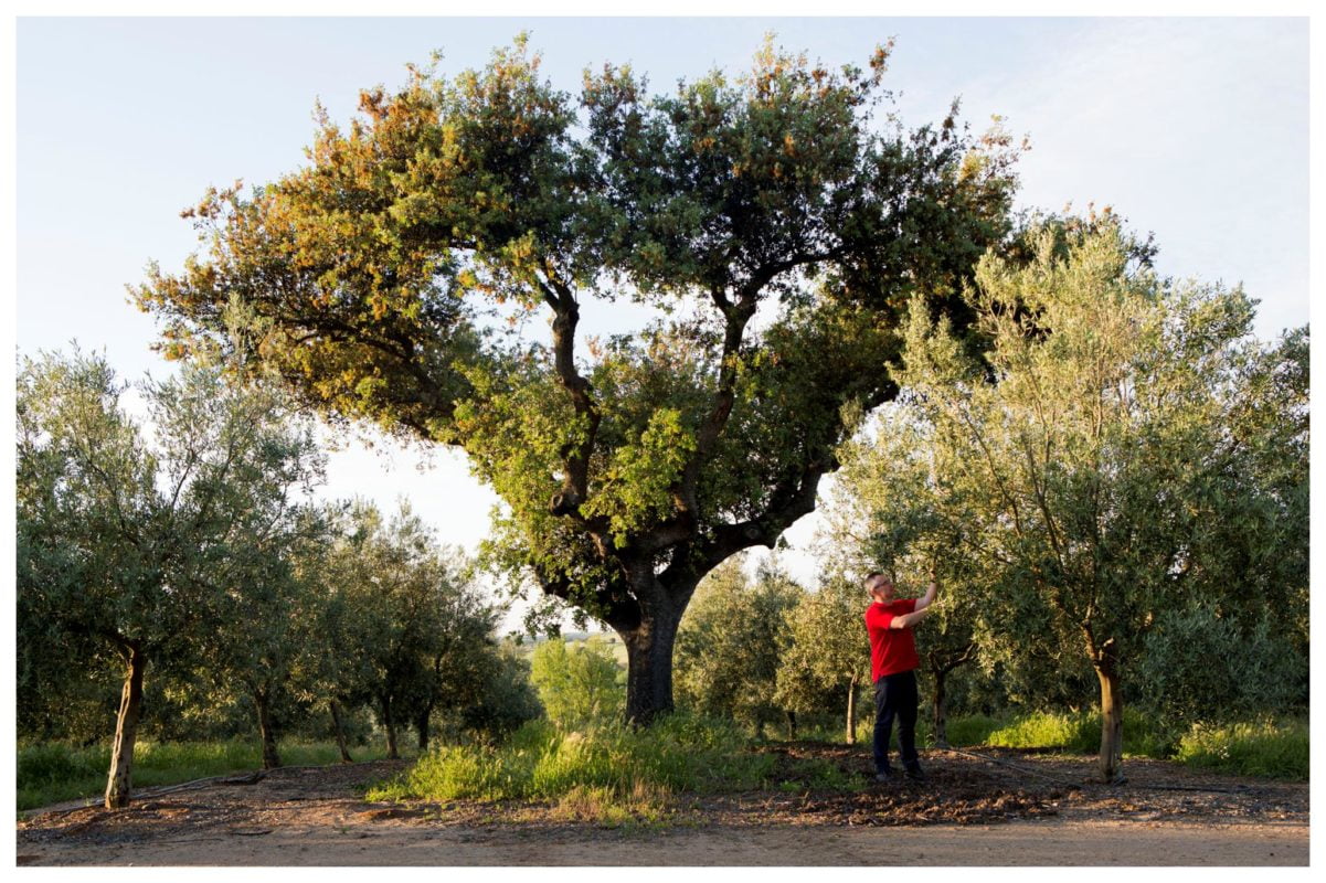 Le Comptoir du Portugal