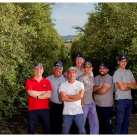 cultivateurs - Olivais do Sul - Huile d'olive de l'Alentejo - Portugal
