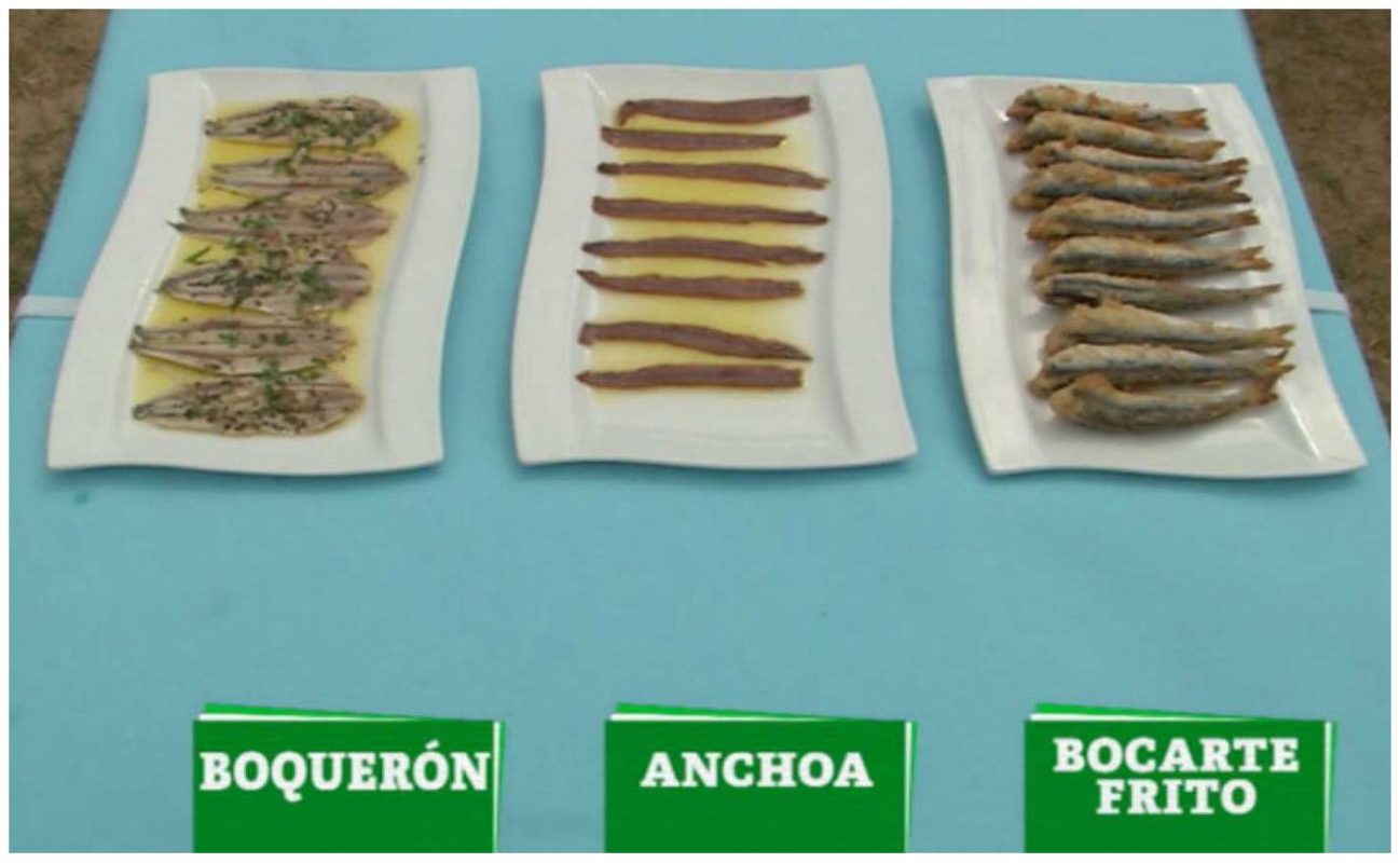 Le Comptoir du Portugal