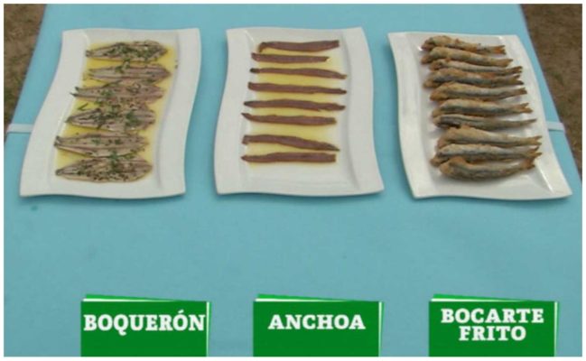 Le même poisson l'anchois - Zallo - Conserves du Pays basque Espagne