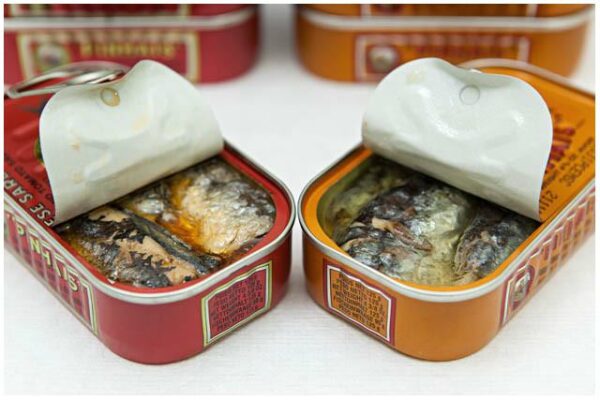 Boites ouvertes - Pinhais - Conserves de sardines du Portugal