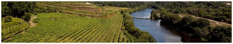 Vallée du Minho - Vignoble du vinho verde