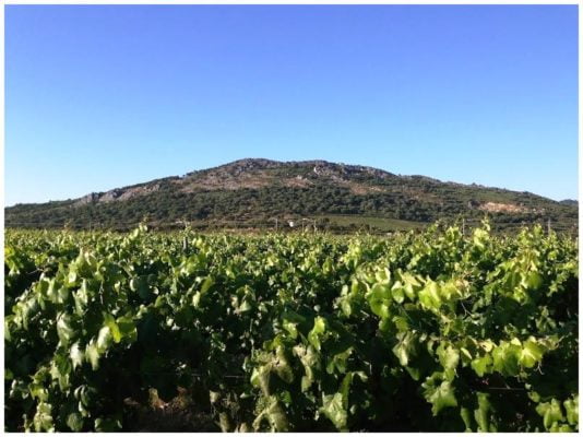 Colline de la Penha - Monte de Penha - Vins de l'Alentejo Portugal