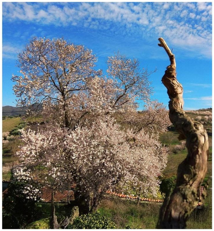 Le Comptoir du Portugal