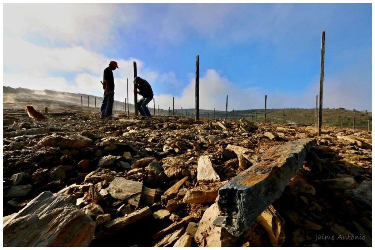 Le Comptoir du Portugal