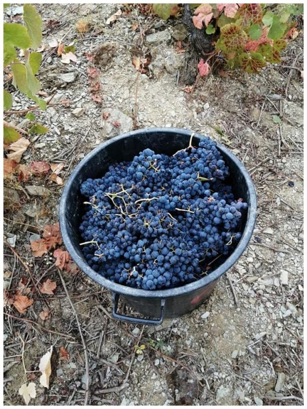 Le Comptoir du Portugal