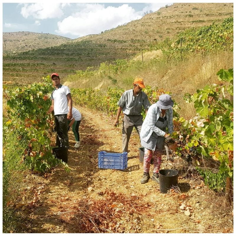 Le Comptoir du Portugal