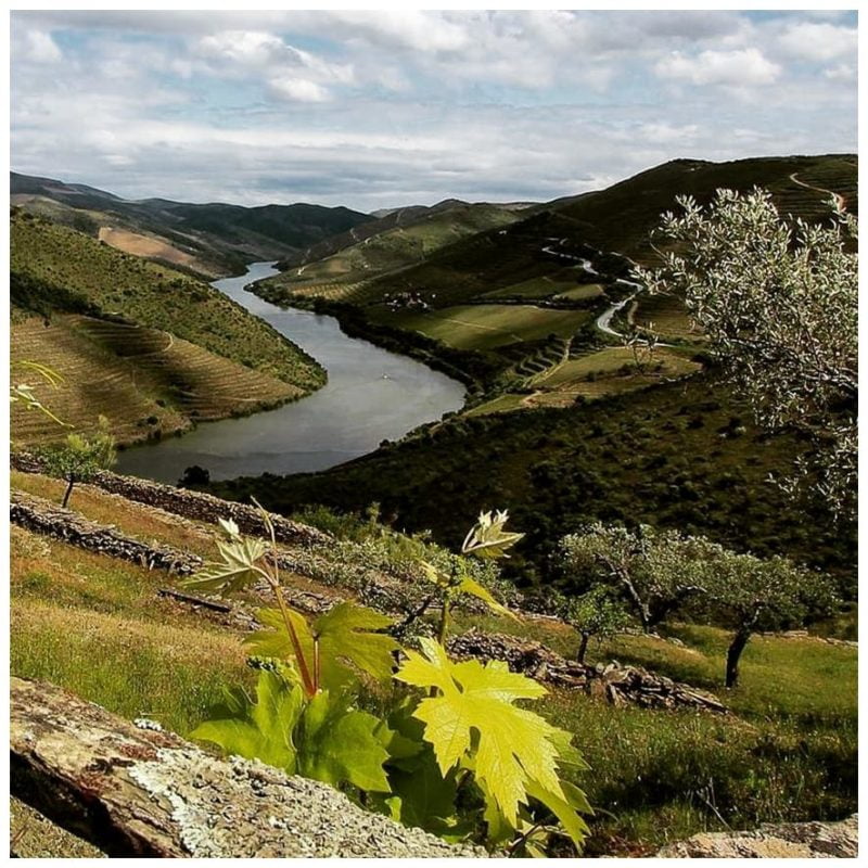 Le Comptoir du Portugal