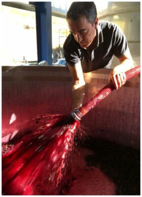 Remontage des jus - Amoreira da Torre - Vins bio de l'Alentejo - Sud Portugal