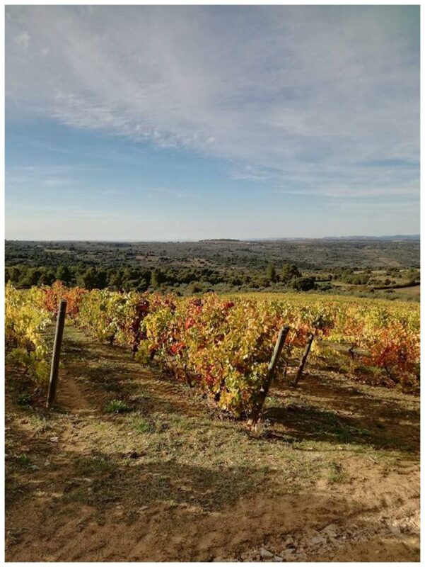 Le Comptoir du Portugal