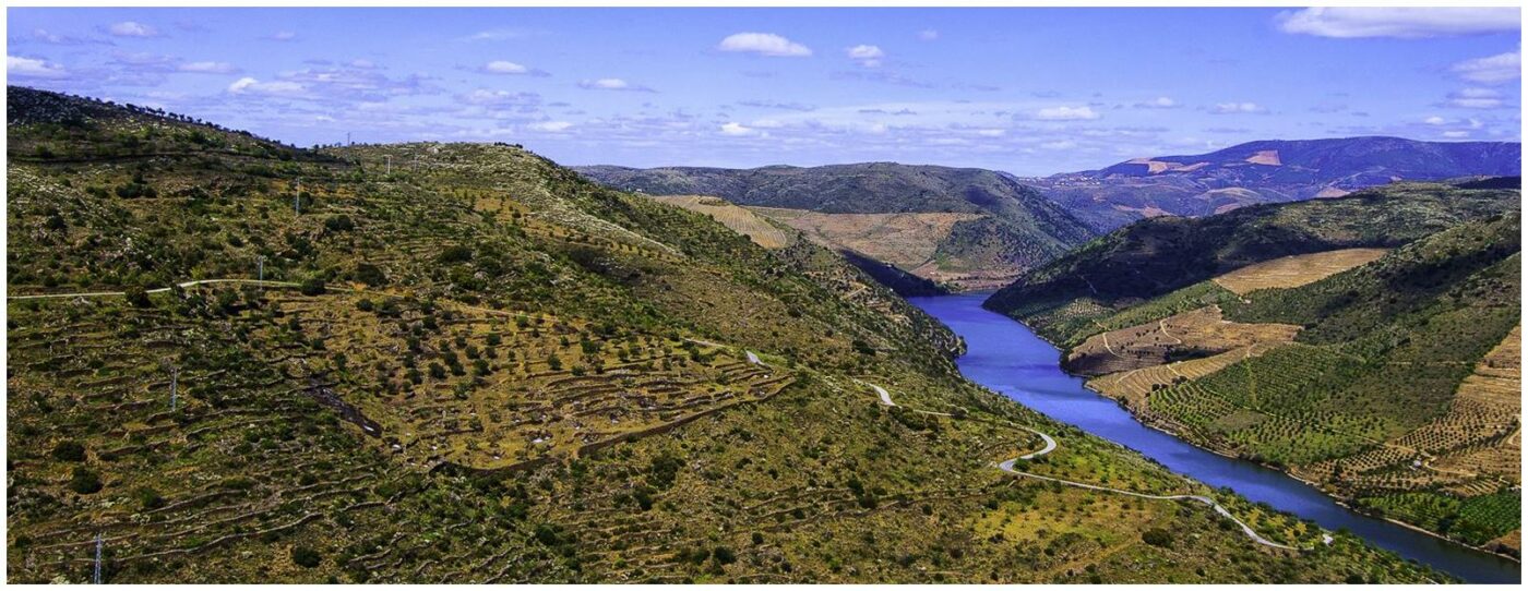 Le Comptoir du Portugal