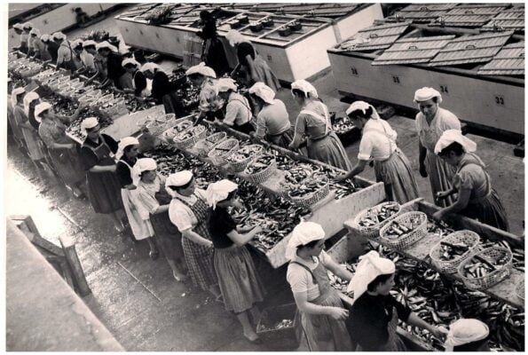 Conserverie en 1950 - Pescaria do Algarve - Conserves de poissons du Portugal