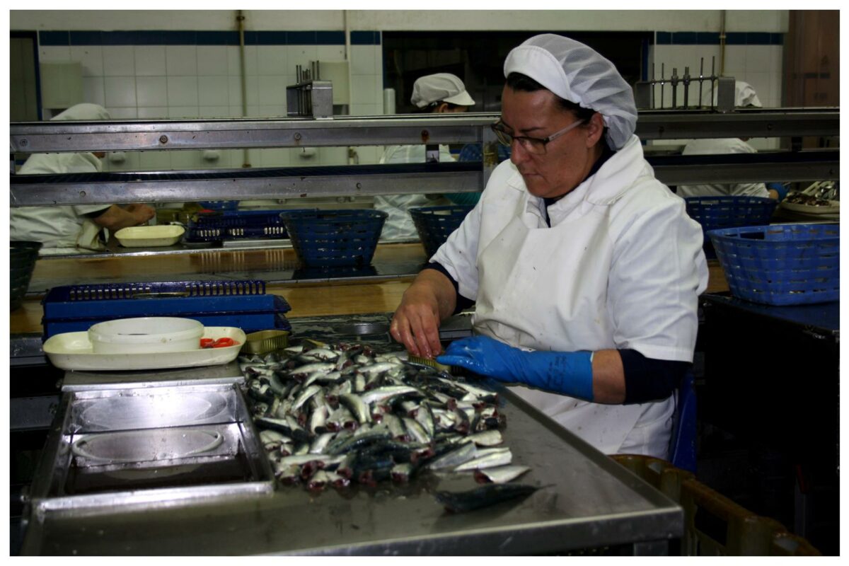 Le Comptoir du Portugal