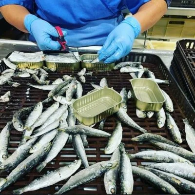 Travail de la sardine - Balea - Conservas Lago Paganini - Conserves de poissons Galice Espagne - Le Comptoir du Portugal