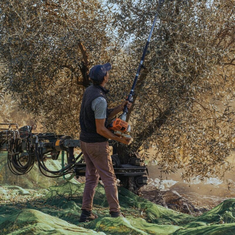 Le Comptoir du Portugal