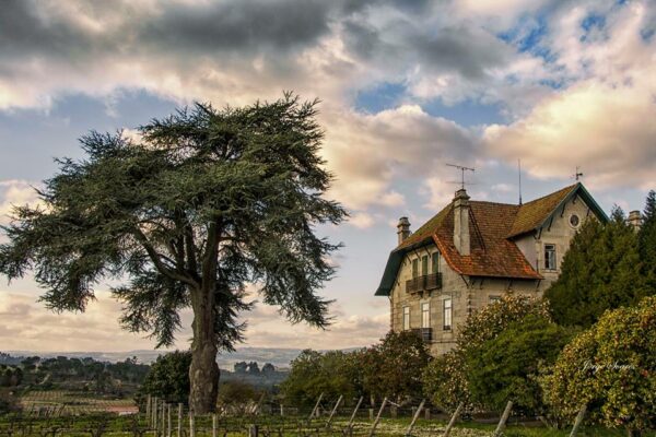 Casa da Passarela - vignoble du Dao - Le Comptoir du Portugal épicerie fine portugaise depuis 2012