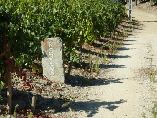 Limite de la propriété viticole - Dona Berta - Vins du Douro - Le Comptoir du Portugal