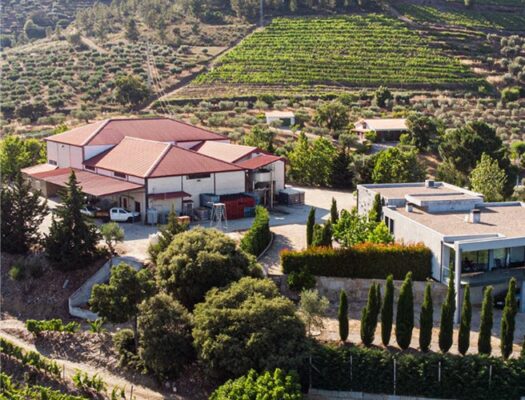 Propriété de la famille Brites Aguiar - Vins du Douro