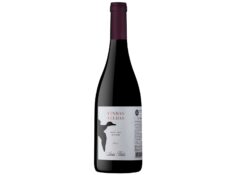 Vinhas velhas rouge 2023 - Luis Pato - Vins de la Bairrada et du Portugal