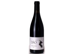 Vinhas velhas Dao Rouge 2022 - Antonio Madeira - Vins du Portugal - Le comptoir du Portugal